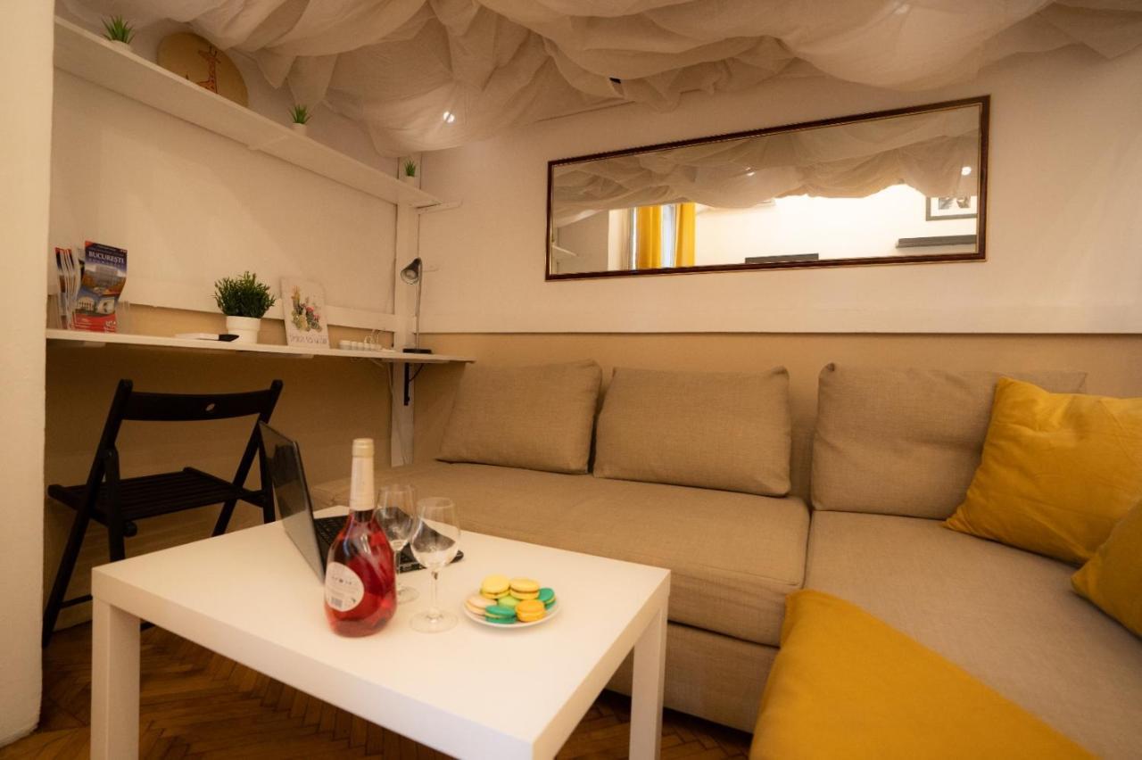 Cozy Studio Cismigiu Garden Apartment Bucharest Luaran gambar