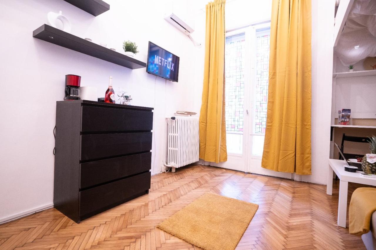 Cozy Studio Cismigiu Garden Apartment Bucharest Luaran gambar